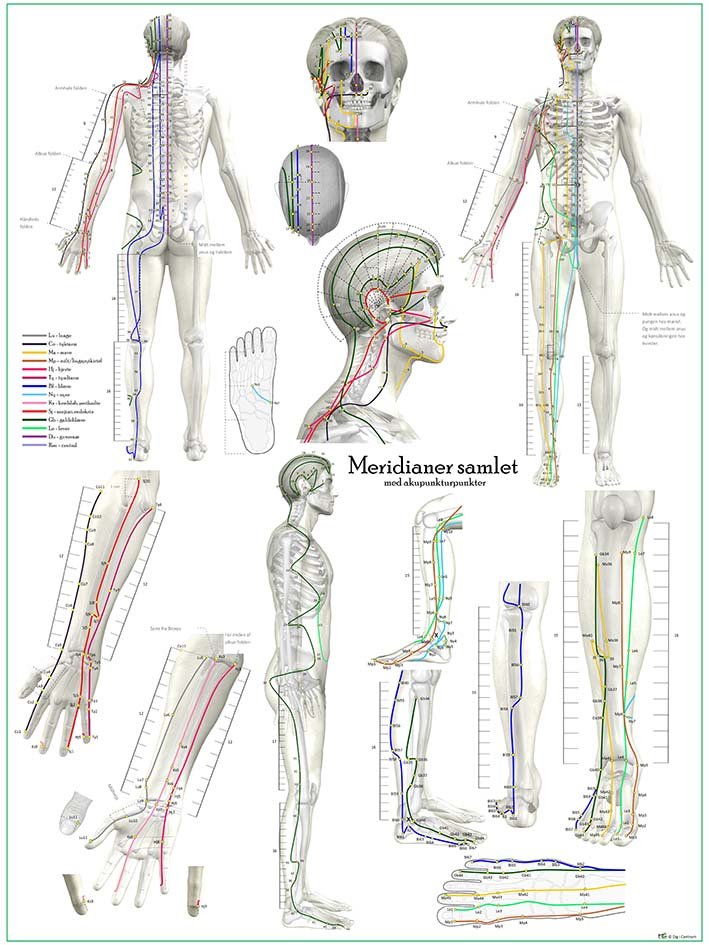 Meridianer samlet med akupunkturpunkter - Plancher - Dig i Centrum
